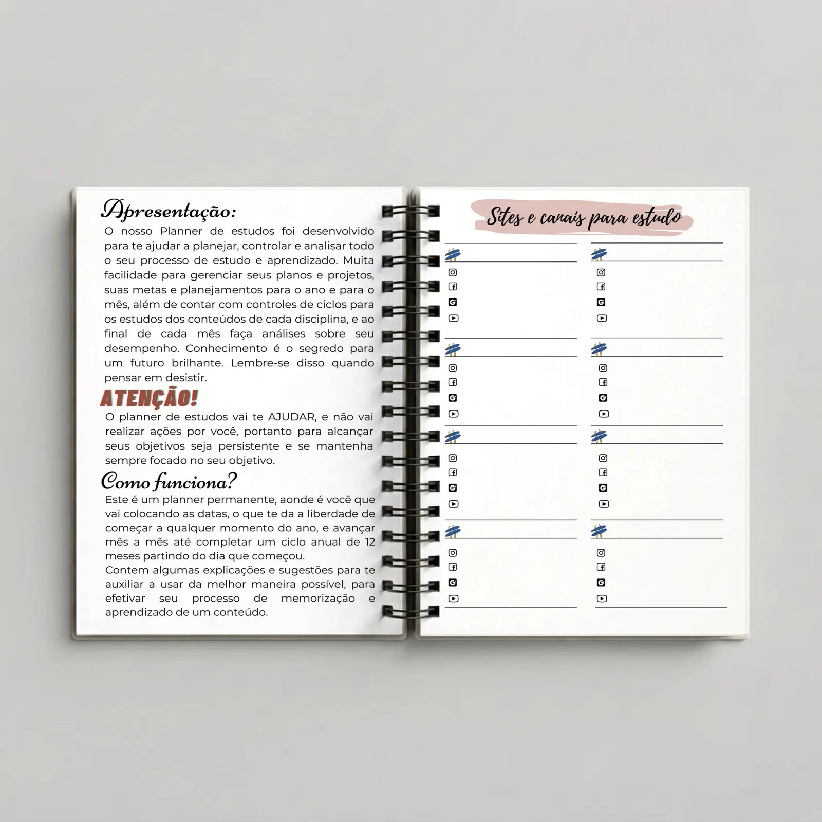 Planner de Estudos Color – Livros, páginas internas