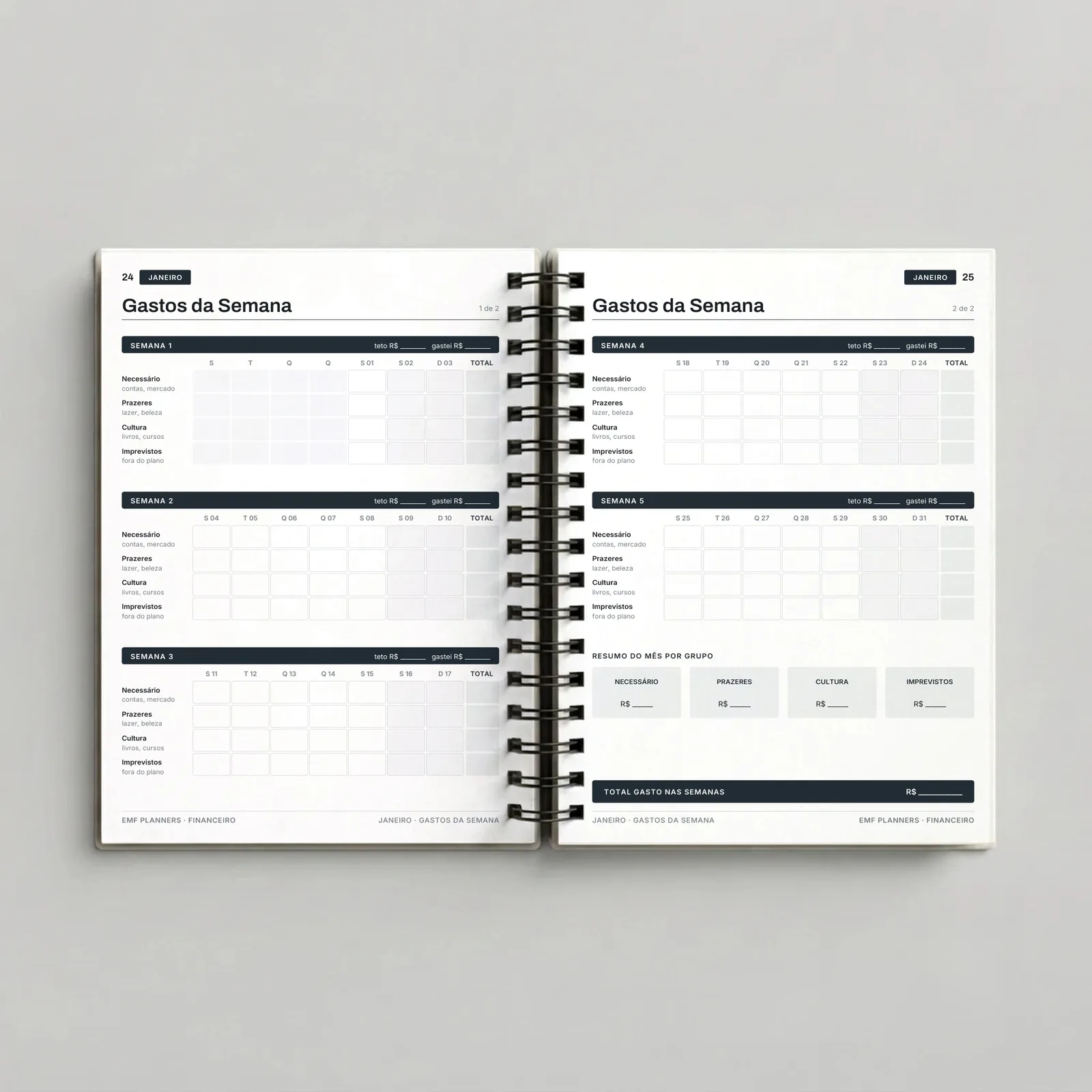 Planner Financeiro Patrimônio Grafite – Grafite, páginas internas