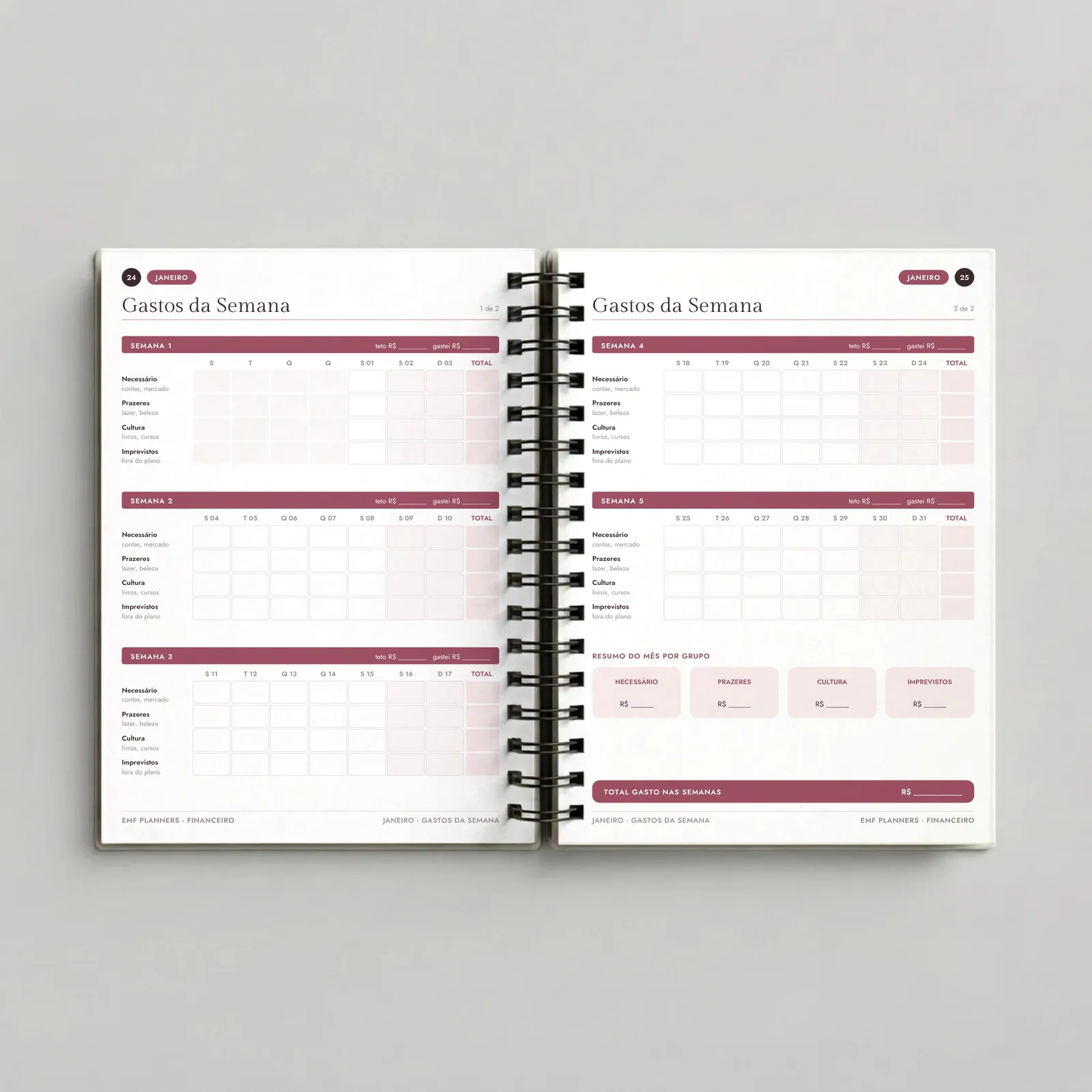 Planner Financeiro Patrimônio Rosé – Rosé, páginas internas