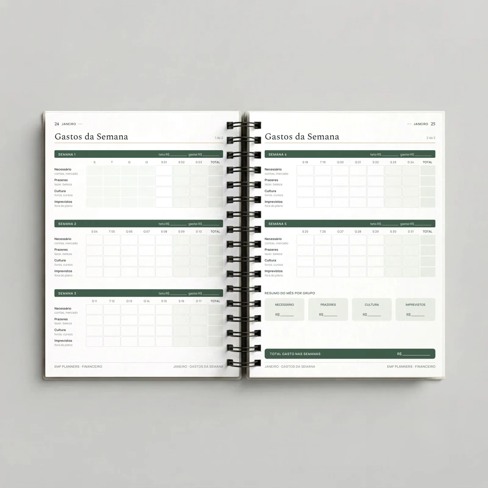 Planner Financeiro Patrimônio Sálvia – Sálvia, páginas internas