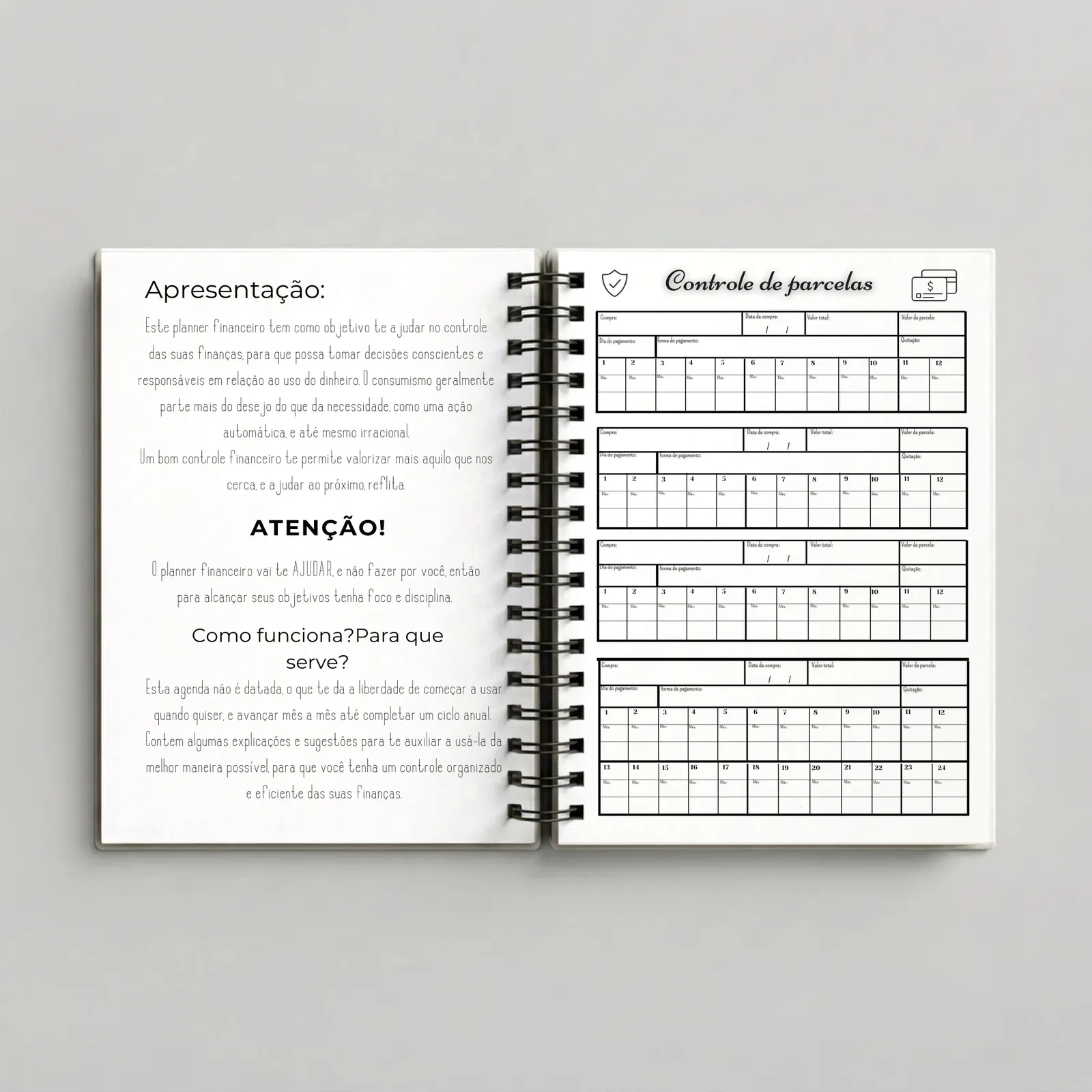 Planner Financeiro P/B – Preto e Branco, páginas internas