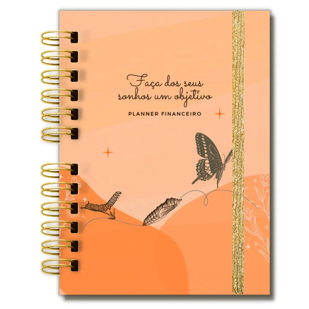 Planner Financeiro Feminino, capa